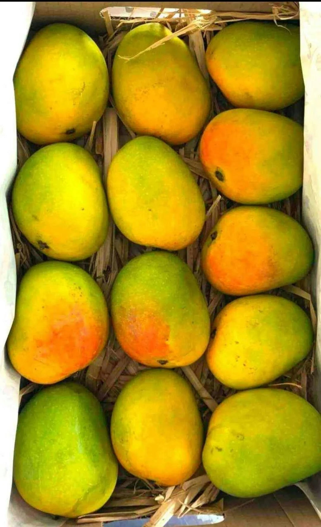 Alphonsomangoes
