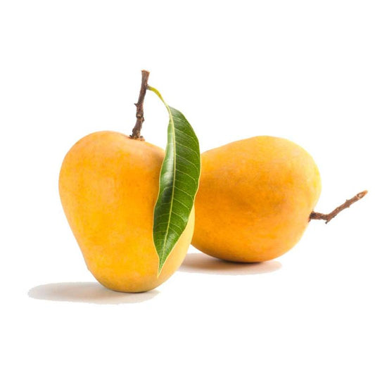 Alphonso Mangoes 12 pcs (210-250g) each