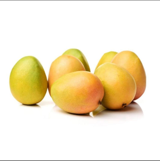Alphonso Mangoes online 12pcs (190-210g)each